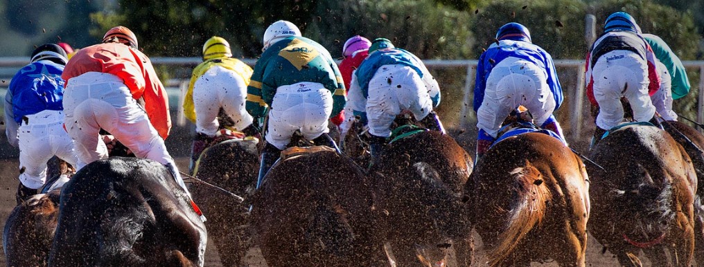 A Swedish CEO of a horse racing company criticizes government